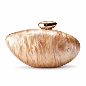 Detailed macro view of the iridescent champagne acrylic clutch with golden metal clasp