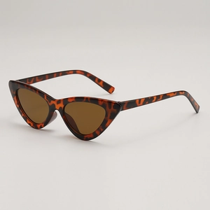 Vintage Triangle Cat Eye Sunglasses UV400 Protection PC Frame AC Lens Fashion Retro Streetwear Eyewear For Women Men