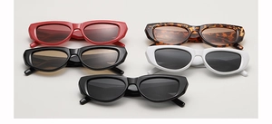 Detailed collection of cat-eye tortoiseshell sunglasses in five stylish assorted colors