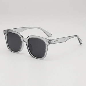 Stylische transparente graue Quadratsonnenbrille mit dunklen Gläsern und Silberakzenten