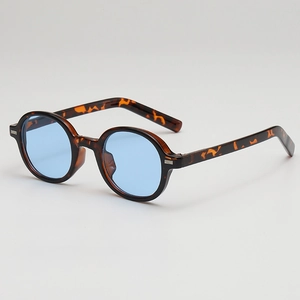 Retro Oval Sunglasses UV400 Protection PC Frame Fashion Ins Style Eyewear For Men Women
