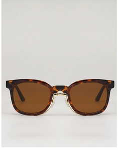 Gros plan sur lunettes de soleil léopard écaille avec détail de pont en métal doré rétro