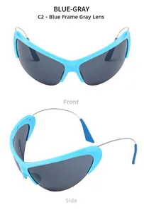 Lunettes de soleil cyberpunk bleues avec verres gris et détails de branches en métal