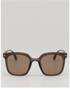 Detail der kaffeebraunen, durchscheinenden Oversize-Sonnenbrille mit silbernen Akzenten