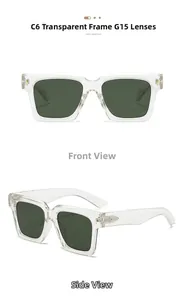 Detail view of model C6 square sunglasses with transparent frames and G15 green lenses
