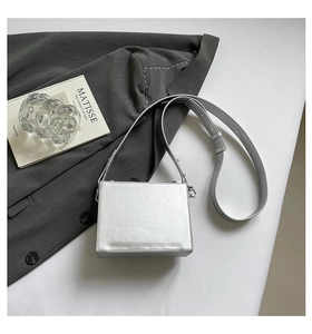 Close-up of a metallic silver hard-shell rectangular crossbody bag with a slim strap