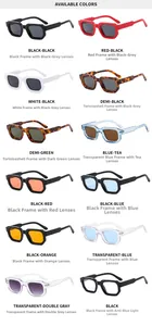 Detailed catalog of rectangular sunglasses in twelve varied frame and lens colors