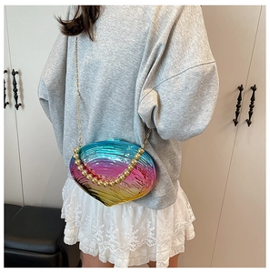 Detailed close-up of rainbow gradient shell bag with golden bead handle and chain strap
