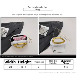 Size chart for acrylic evening bag showing 20x10.5x7cm dimensions and interior capacity