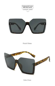 Close-up of tortoiseshell square sunglasses with silver rivets and grey UV lenses