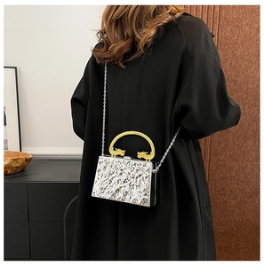 Detail of silver acrylic clutch bag with a golden dragon handle and elegant chain strap
