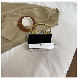 Detail of silver acrylic box bag with gold dragon handle and soft black interior lining