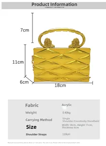 Dettaglio borsa da sera in acrilico 18x11x6cm con manici a testa di leone e trama