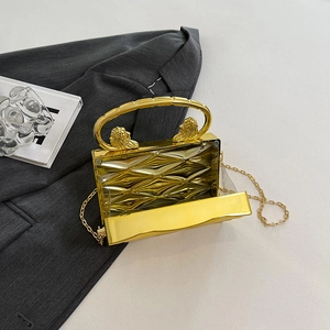 Clutch rigida in acrilico dorato con rilievo testa di leone e trame geometriche