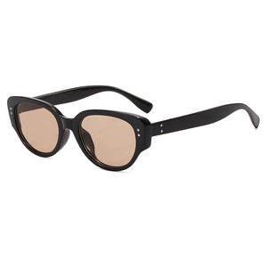Retro Sunglasses UV400 Protection PC Frame AC Lens Small Oval Cat Eye Fashion Vintage Travel For Women Men