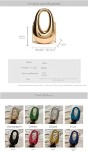 Detailed dimensions and color options for acrylic evening clutch with metal chain strap
