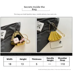 Size guide for gold pleated chain clutch bag showing dimensions 18x13x5cm and capacity