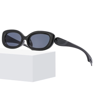 Retro Oval Sunglasses UV400 Protection PC Frame AC Lens Y2K Hip Hop Street Style For Men Women Fashionable Trendy