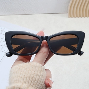 Retro Cat Eye Sunglasses UV400 Protection PC Frame AC Lens Outdoor Travel Beach Fashion Eyewear For Women Men