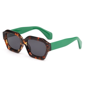 Lunettes de soleil géométriques rétro avec monture écaille et branches vert néon