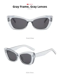 Detail view of CA2202 grey cat eye sunglasses with translucent frames and dark grey lenses