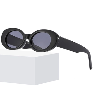 Retro Oval Sunglasses For Women And Men PC Frame AC Lens UV400 Protection Vintage Fashion Streetwear Eyewear