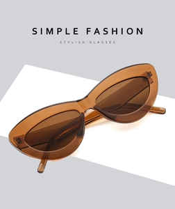 Detail showing high-quality metal hinges and brown tortoiseshell frame of cat eye sunglasses