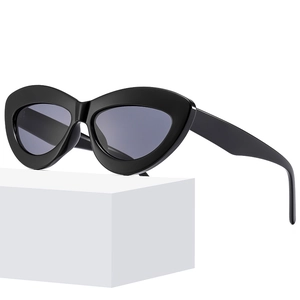 Cat Eye Sunglasses PC Frame AC Lens UV400 Protection Outdoor Fashion Retro Travel Eyewear For Women Men