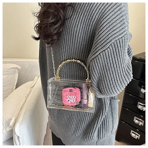 Transparent acrylic box bag featuring golden bamboo handle and metal chain strap on model