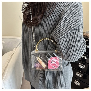Transparent acrylic box bag detail showing internal storage and golden metal handle