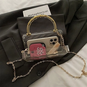 Transparent acrylic box clutch bag with gold beaded handle and chain strap on a black blazer
