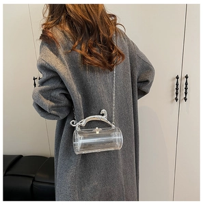 Detail of silver leopard handle and transparent acrylic cylindrical crossbody evening bag