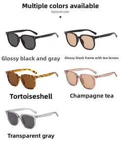 Flat lay of retro square sunglasses in tortoiseshell, champagne, and black color options
