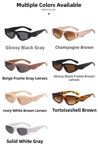 Detailed grid of wide-frame vintage cat-eye sunglasses in multiple stylish colors