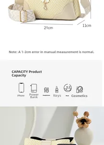 Infographic of beige woven bag showing 21x11cm base size and daily storage capacity