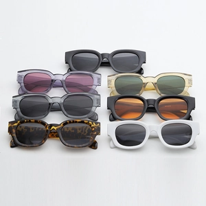 Vue détaillée de diverses lunettes de soleil rétro à monture épaisse et verres teintés