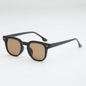 Retro Square Sunglasses Vintage UV400 Protection PC Frame AC Lens Fashion Eyewear For Men Women Outdoor Classic