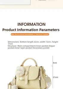 Detailed size chart and internal structure for the retro woven crossbody handbag