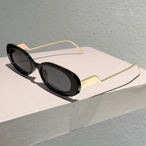 Vue détaillée de lunettes de soleil ovales noires avec branches dorées en zigzag