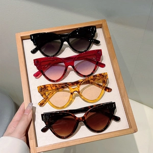 Chic cat eye sunglasses set in assorted tortoiseshell and solid colors on a wooden tray