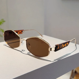 Détail de lunettes de soleil géométriques dorées avec verres bruns et accents léopard