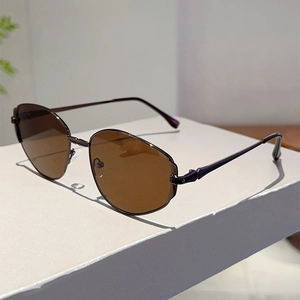 Detail view of stylish sunglasses with brown resin lenses and sleek metallic frames