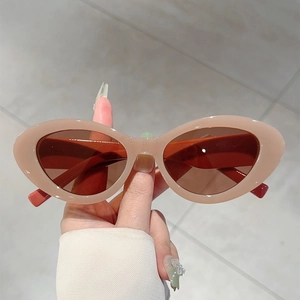 Retro Cat Eye Sunglasses UV400 Protection Small Oval Frame Trendy Chunky PC Eyewear For Women Men Outdoor Streetwear