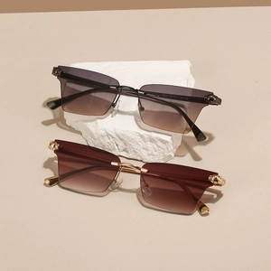 Vue détaillée de lunettes de soleil sans monture avec détail léopard doré sur la branche