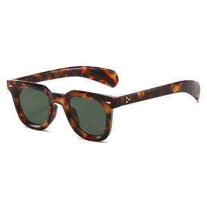 Detail view of tortoiseshell pattern retro sunglasses with golden metal arrow rivets