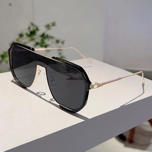 Detailed close-up showing the premium black thick frame and golden metal temples of the sunglasses