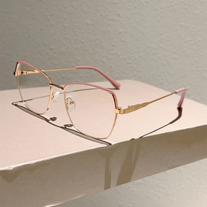 Polished gold metal polygon glasses frames with pink trim and clear lenses on display