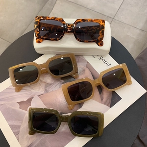 Retro square sunglasses for women in leopard, brown, beige and green with a hard case