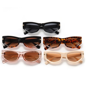Modern cat-eye sunglasses for women in assorted colors with chic gold metal accents