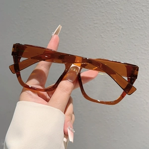 Close-up of tortoise shell glasses frame with focus on inner temple temple model text